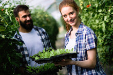 Info graphic: Health Benefits Of Gardening