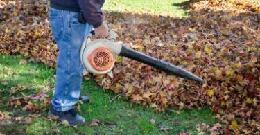 How to Maintain A Healthy Yard.