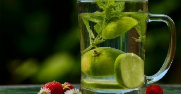 Water Filter Pitchers