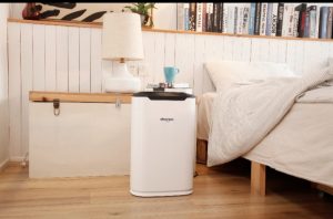 Okaysou Air Purifier