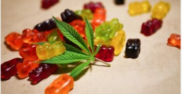 CBD gummy bears