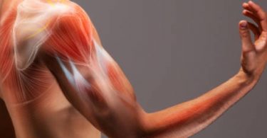 Ways To Improve Tendon Health