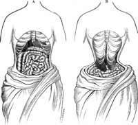 Waist training facts