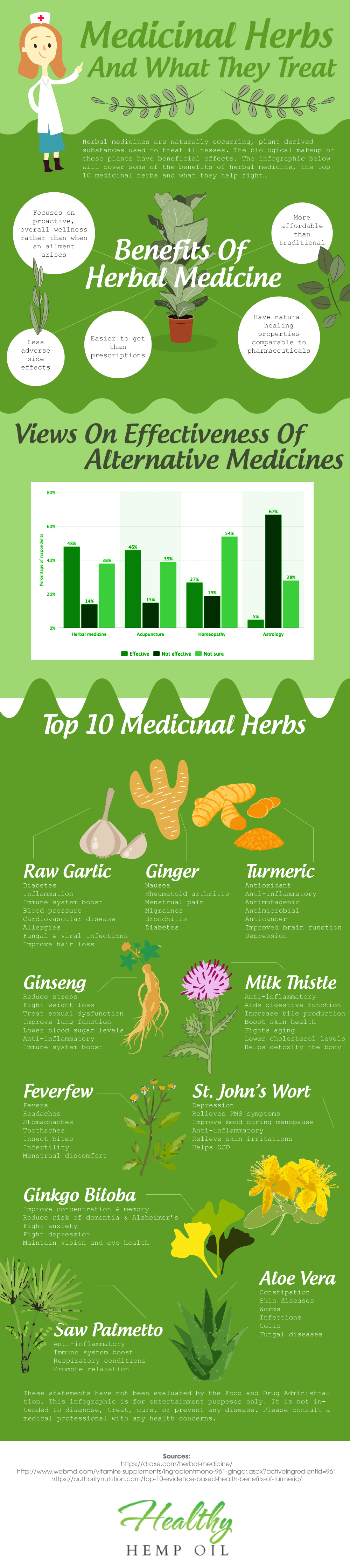 Top 10 Medicinal Herbs... And What They Treat