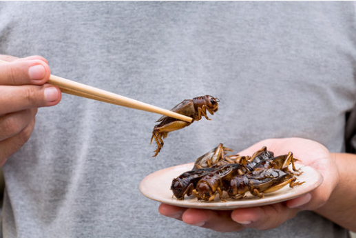 Edible Insects And Their Health Benefits